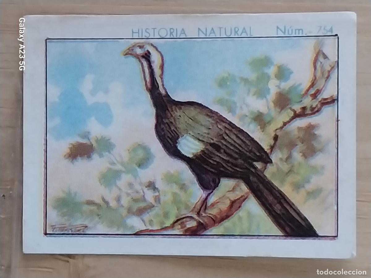 Collezionismo Figurine antiche: CHACHALACA CHOCOLATES JUNCOSA CROMO 754 SIN PEGAR NUNCA **** HISTORIA NATURAL A&Ntilde;O 1935 5X3.5CMS