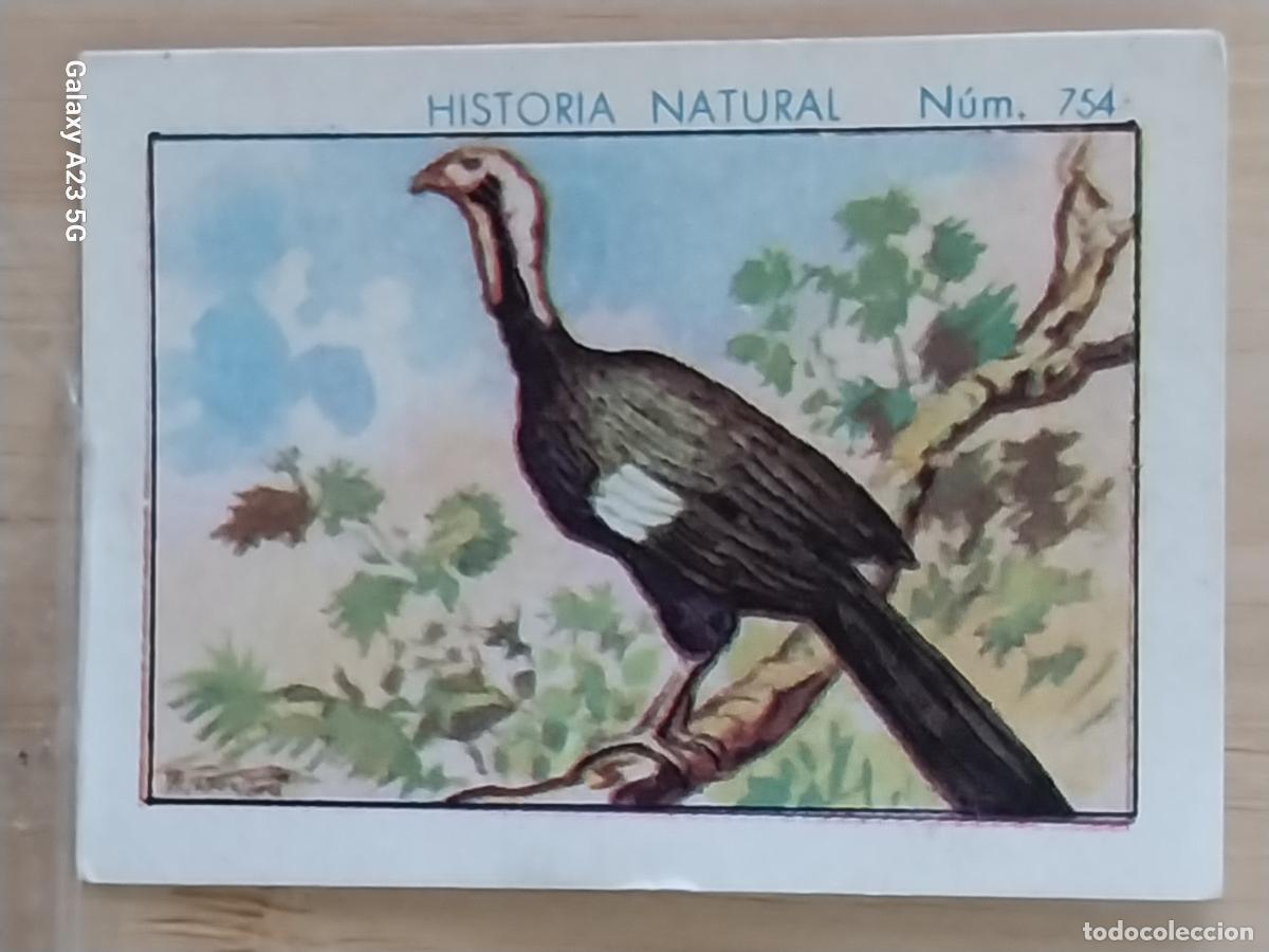 Collezionismo Figurine antiche: CHACHALACA CHOCOLATES JUNCOSA CROMO 754 SIN PEGAR NUNCA *** HISTORIA NATURAL A&Ntilde;O 1935 5X3.5CMS