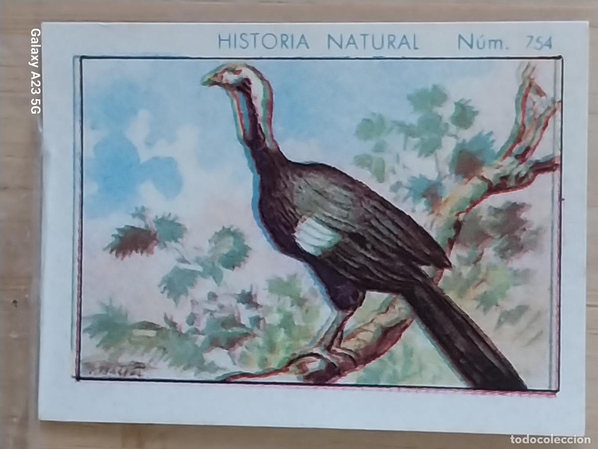 Collezionismo Figurine antiche: CHACHALACA CHOCOLATES JUNCOSA CROMO 754 SIN PEGAR NUNCA ** HISTORIA NATURAL A&Ntilde;O 1935 5X3.5CMS