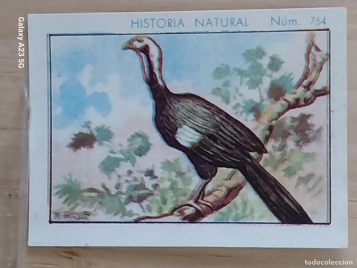 Collezionismo Figurine antiche: CHACHALACA CHOCOLATES JUNCOSA CROMO 754 SIN PEGAR NUNCA ----* HISTORIA NATURAL A&Ntilde;O 1935 5X3.5CMS