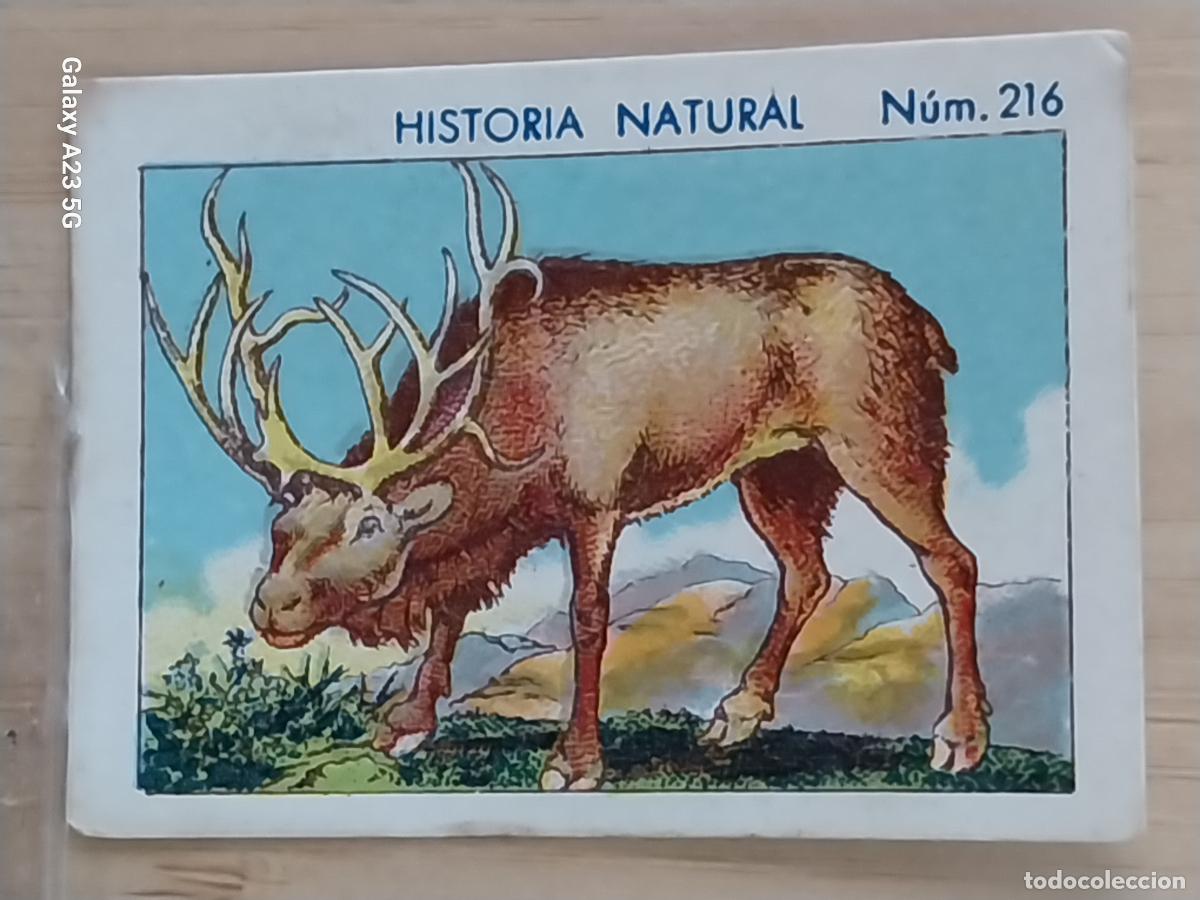 Coleccionismo cromos antiguos: RENO CHOCOLATES JUNCOSA CROMO 216 SIN PEGAR NUNCA ************ HISTORIA NATURAL A&Ntilde;O 1935 5X3.5CMS
