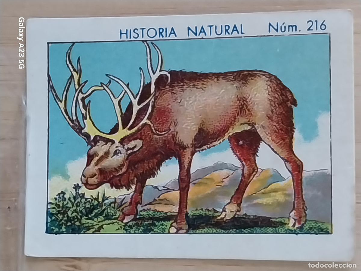 Coleccionismo cromos antiguos: RENO CHOCOLATES JUNCOSA CROMO 216 SIN PEGAR NUNCA *********** HISTORIA NATURAL A&Ntilde;O 1935 5X3.5CMS