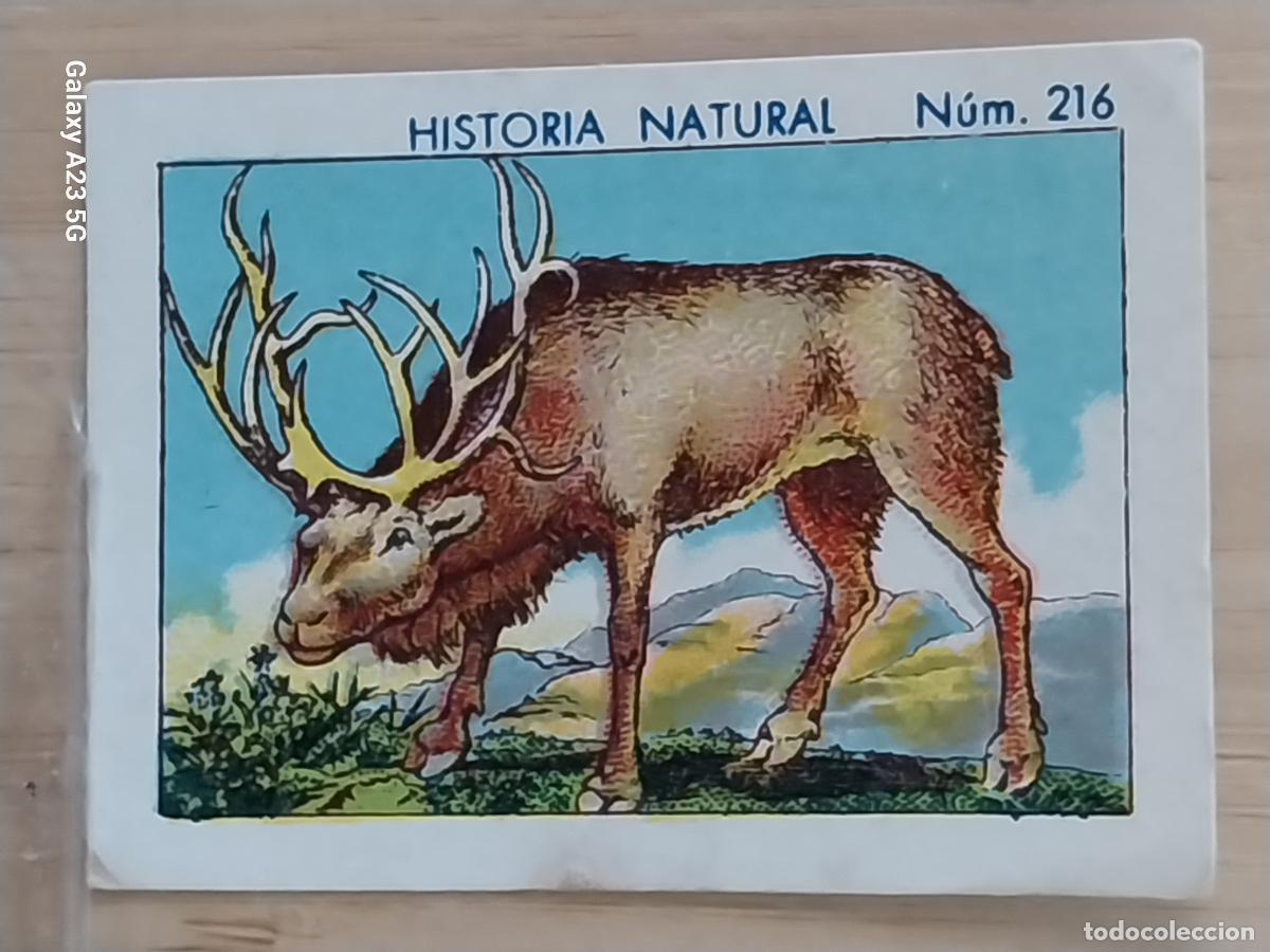 Coleccionismo cromos antiguos: RENO CHOCOLATES JUNCOSA CROMO 216 SIN PEGAR NUNCA ********** HISTORIA NATURAL A&Ntilde;O 1935 5X3.5CMS