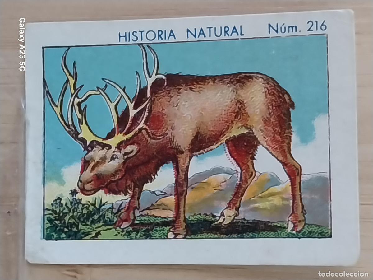 Coleccionismo cromos antiguos: RENO CHOCOLATES JUNCOSA CROMO 216 SIN PEGAR NUNCA ********* HISTORIA NATURAL A&Ntilde;O 1935 5X3.5CMS