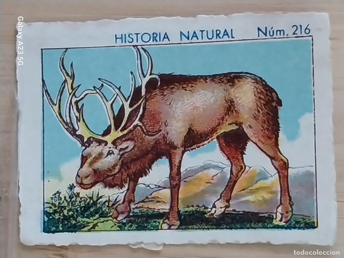 Coleccionismo cromos antiguos: RENO CHOCOLATES JUNCOSA CROMO 216 SIN PEGAR NUNCA ******** HISTORIA NATURAL A&Ntilde;O 1935 5X3.5CMS
