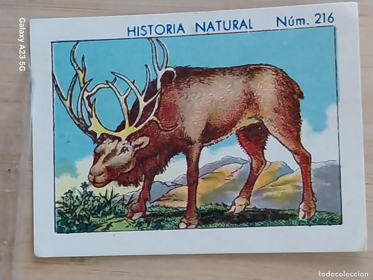 Coleccionismo cromos antiguos: RENO CHOCOLATES JUNCOSA CROMO 216 SIN PEGAR NUNCA ******* HISTORIA NATURAL A&Ntilde;O 1935 5X3.5CMS
