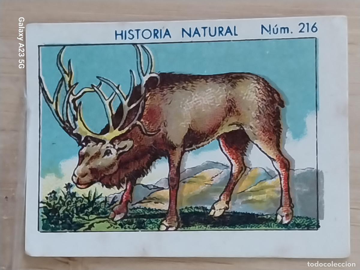 Coleccionismo cromos antiguos: RENO CHOCOLATES JUNCOSA CROMO 216 SIN PEGAR NUNCA ****** HISTORIA NATURAL A&Ntilde;O 1935 5X3.5CMS