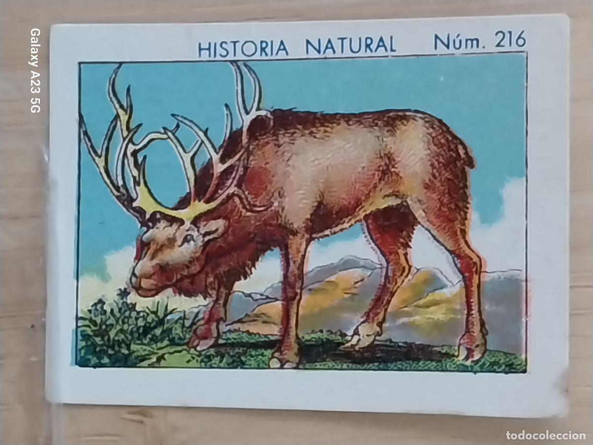 Coleccionismo cromos antiguos: RENO CHOCOLATES JUNCOSA CROMO 216 SIN PEGAR NUNCA ***** HISTORIA NATURAL A&Ntilde;O 1935 5X3.5CMS