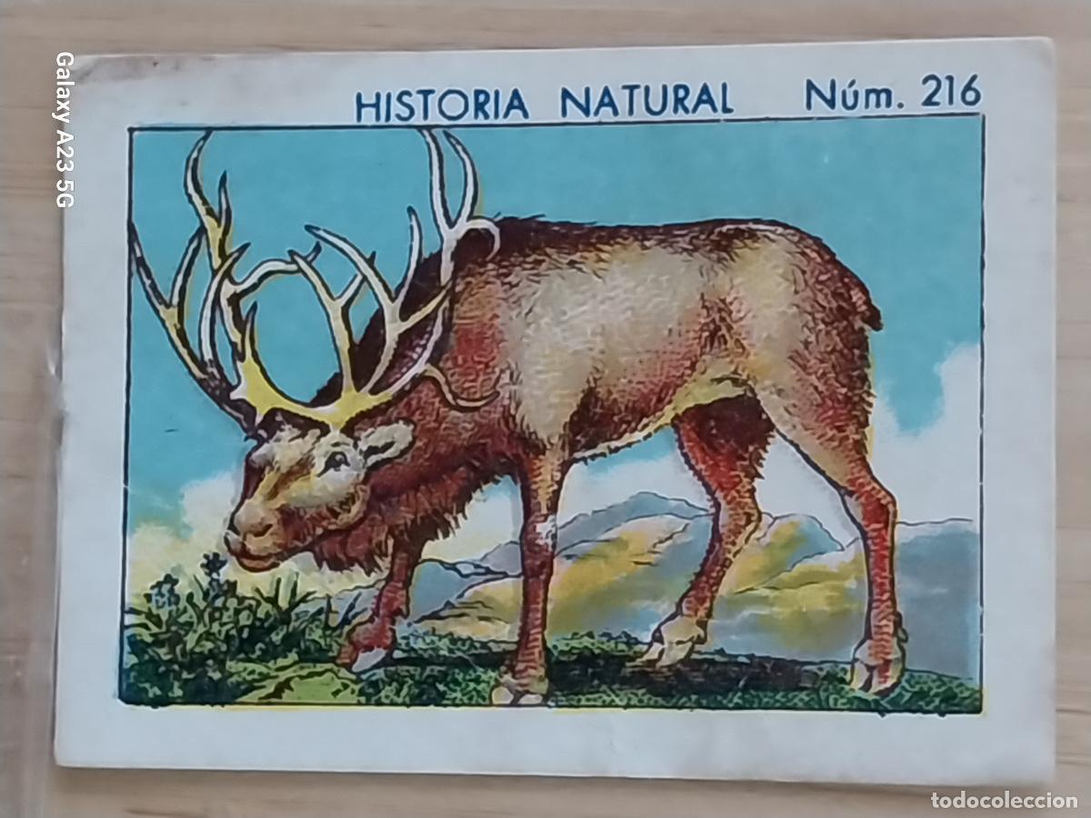 Coleccionismo cromos antiguos: RENO CHOCOLATES JUNCOSA CROMO 216 SIN PEGAR NUNCA **** HISTORIA NATURAL A&Ntilde;O 1935 5X3.5CMS