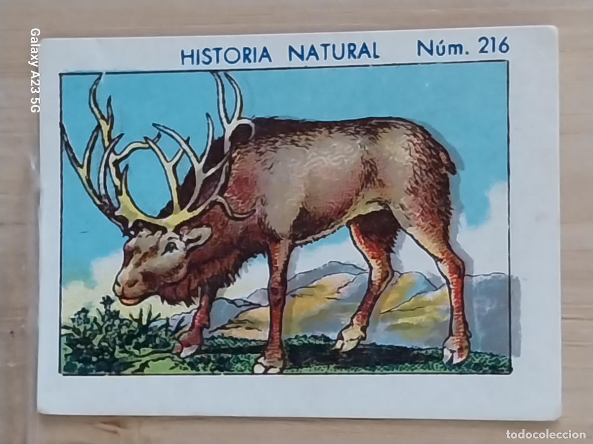 Coleccionismo cromos antiguos: RENO CHOCOLATES JUNCOSA CROMO 216 SIN PEGAR NUNCA *** HISTORIA NATURAL A&Ntilde;O 1935 5X3.5CMS