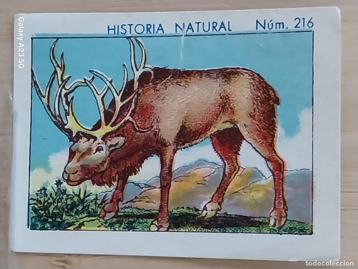 Coleccionismo cromos antiguos: RENO CHOCOLATES JUNCOSA CROMO 216 SIN PEGAR NUNCA * HISTORIA NATURAL A&Ntilde;O 1935 5X3.5CMS