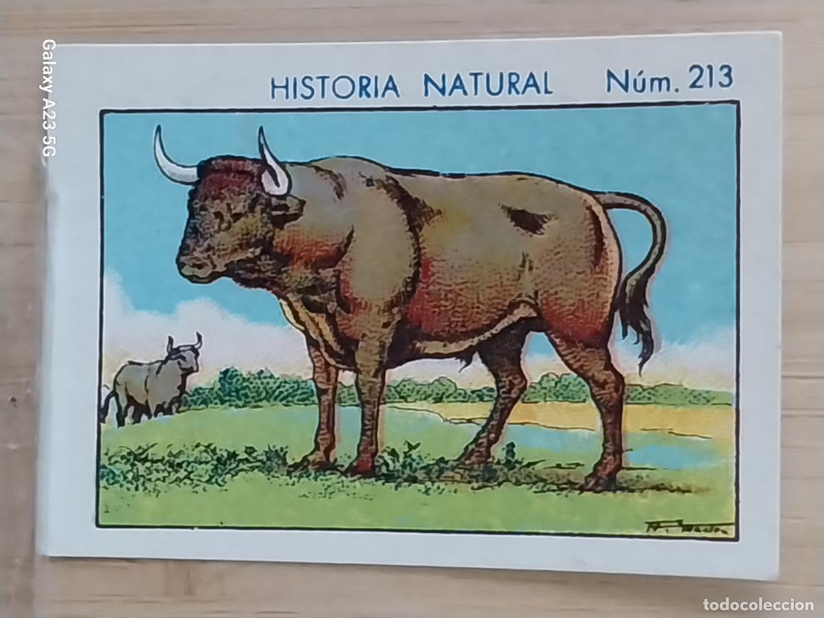 Coleccionismo cromos antiguos: TORO BULL CHOCOLATES JUNCOSA CROMO 213 SIN PEGAR NUNCA ****** HISTORIA NATURAL A&Ntilde;O 1935 5X3.5CMS