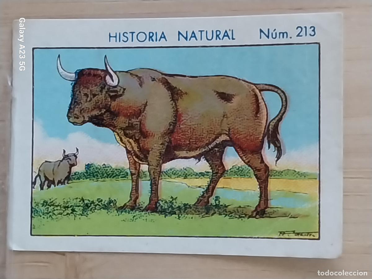 Coleccionismo cromos antiguos: TORO BULL CHOCOLATES JUNCOSA CROMO 213 SIN PEGAR NUNCA --------* HISTORIA NATURAL A&Ntilde;O 1935 5X3.5CMS