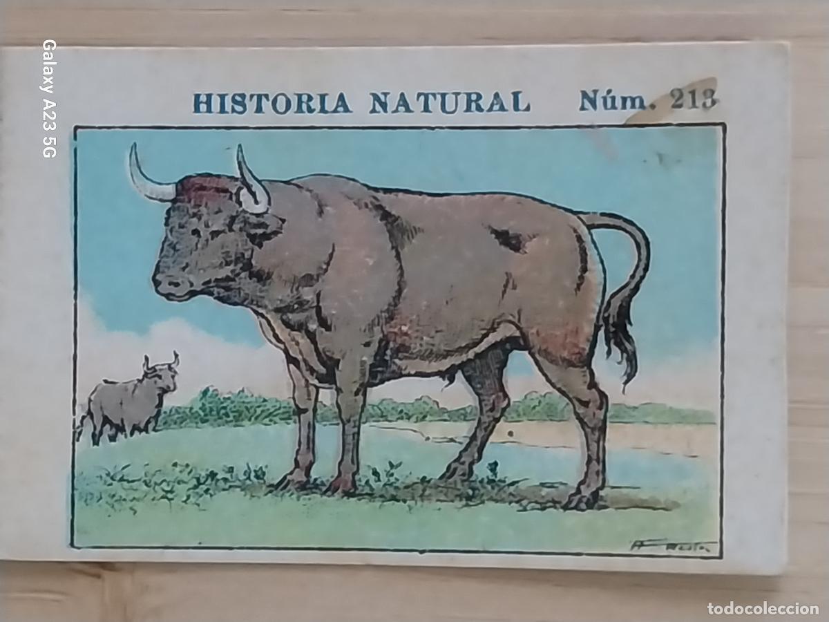 Coleccionismo cromos antiguos: TORO BULL CHOCOLATES JUNCOSA CROMO 213 SIN PEGAR NUNCA ------ HISTORIA NATURAL A&Ntilde;O 1935 5X3.5CMS
