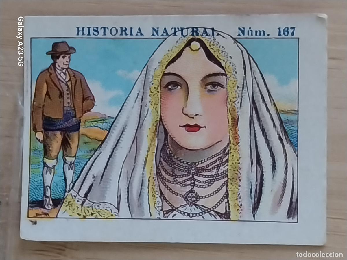Coleccionismo cromos antiguos: NAVARRA CHOCOLATES JUNCOSA CROMO 167SIN PEGAR NUNCA -*.....*- HISTORIA NATURAL A&Ntilde;O 1935 5X3.5CMS
