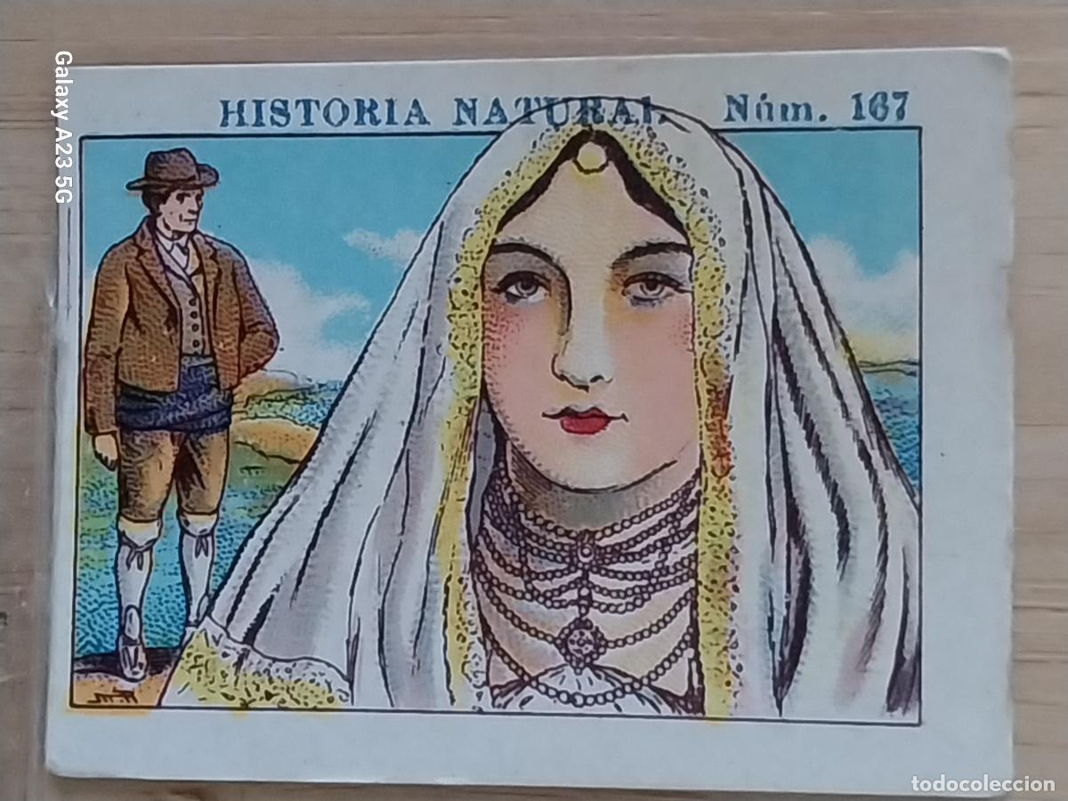 Coleccionismo cromos antiguos: NAVARRA CHOCOLATES JUNCOSA CROMO 167SIN PEGAR NUNCA -*..*- HISTORIA NATURAL A&Ntilde;O 1935 5X3.5CMS
