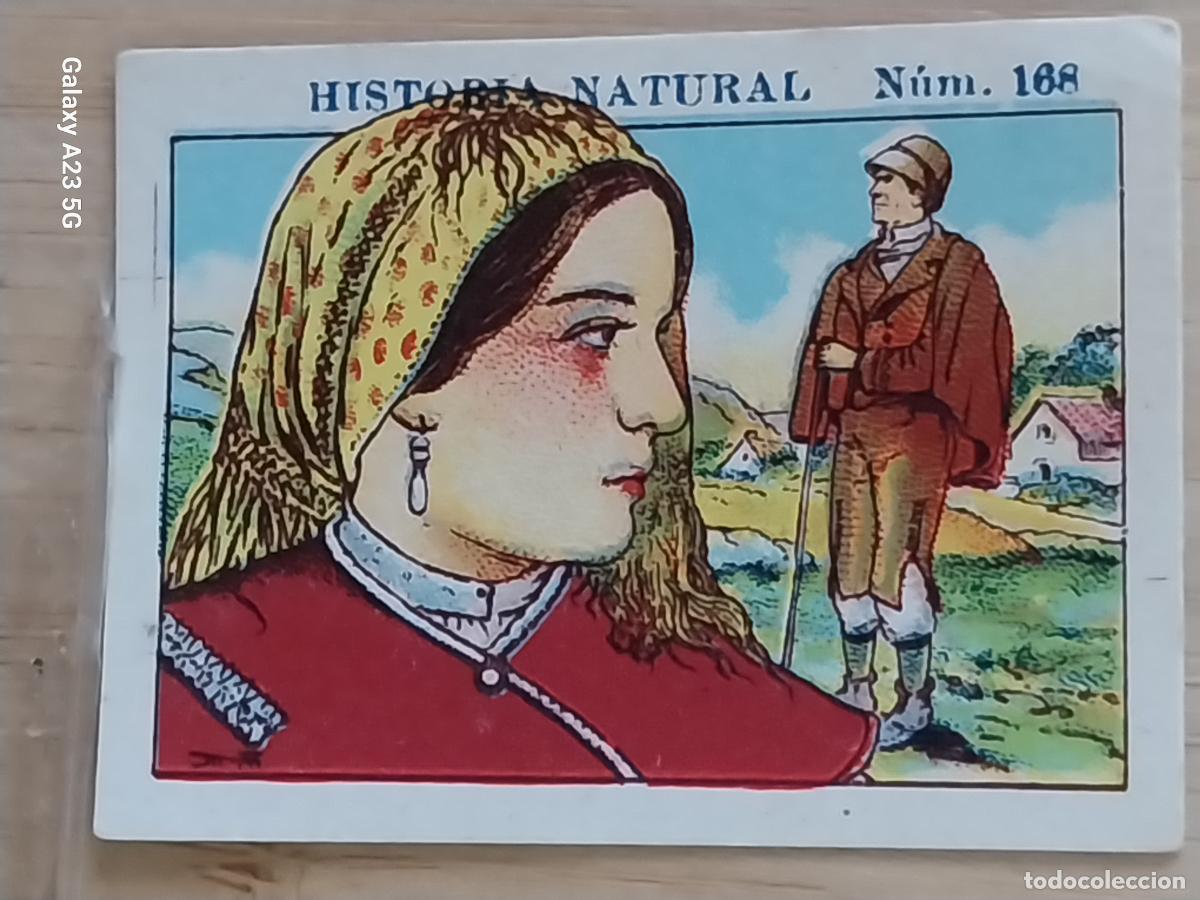 Coleccionismo cromos antiguos: GALICIA CHOCOLATES JUNCOSA CROMO 168 SIN PEGAR NUNCA -*....*- HISTORIA NATURAL A&Ntilde;O 1935 5X3.5CMS