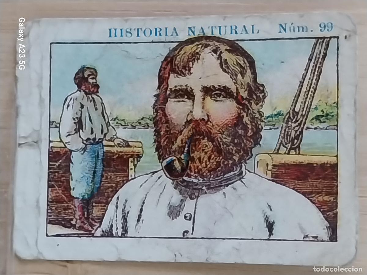 Coleccionismo cromos antiguos: RUSOS CHOCOLATES JUNCOSA CROMO 99 SIN PEGAR NUNCA -*.....*- HISTORIA NATURAL A&Ntilde;O 1935 5X3.5CMS