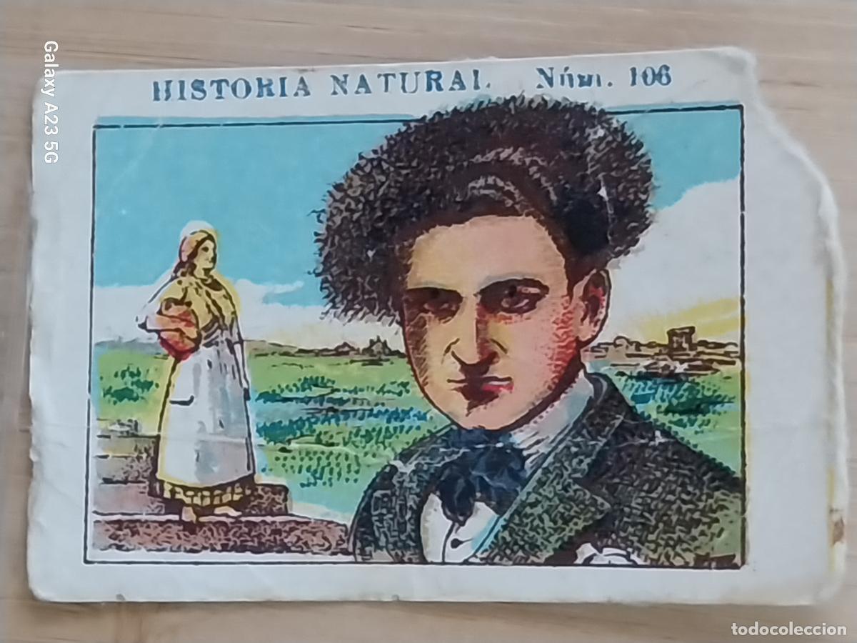 Coleccionismo cromos antiguos: ITALIANOS CHOCOLATES JUNCOSA CROMO 106 SIN PEGAR NUNCA -*..*- HISTORIA NATURAL A&Ntilde;O 1935 5X3.5CMS