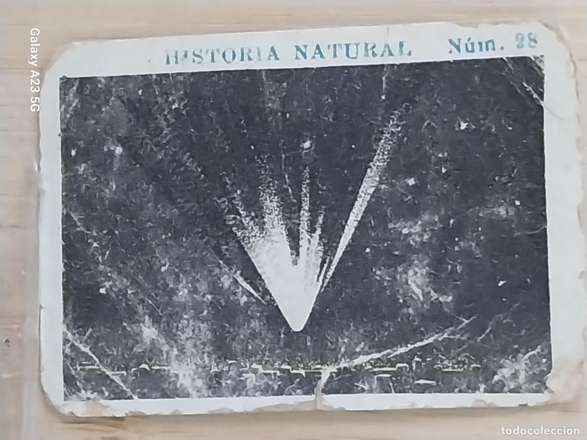 Coleccionismo cromos antiguos: COMETA CHOCOLATES JUNCOSA CROMO 28 SIN PEGAR NUNCA -*.....*- HISTORIA NATURAL A&Ntilde;O 1935 5X3.5CMS