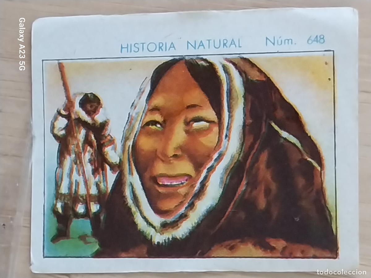Collectable Antique Stickers: ESQUIMAL MUJER CHOCOLATES JUNCOSA CROMO 648 SIN PEGAR -**- HISTORIA NATURAL A&Ntilde;O 1935 5X3.5CMS
