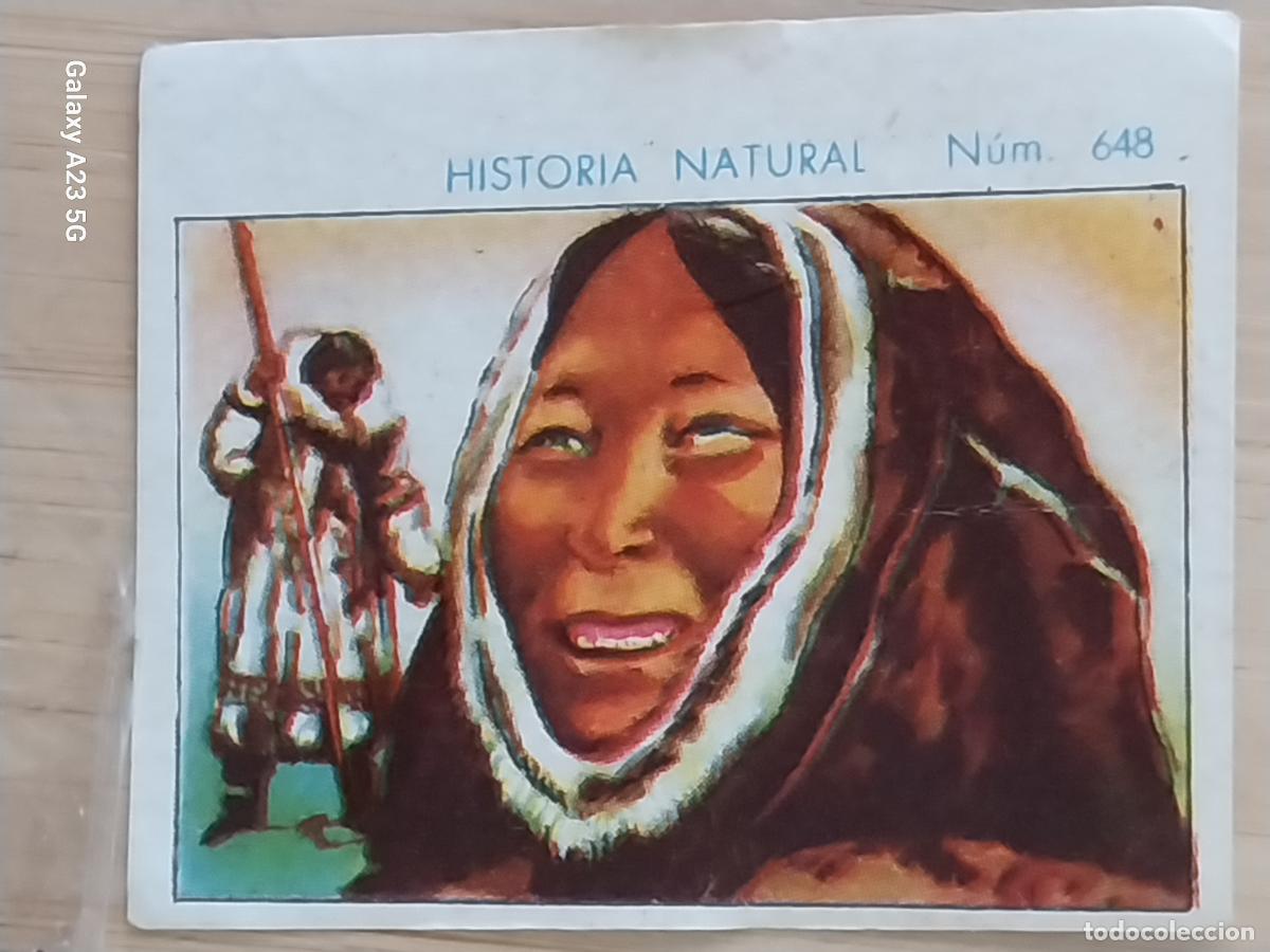 Collectable Antique Stickers: ESQUIMAL MUJER CHOCOLATES JUNCOSA CROMO 648 SIN PEGAR -*......*- HISTORIA NATURAL A&Ntilde;O 1935 5X3.5CMS