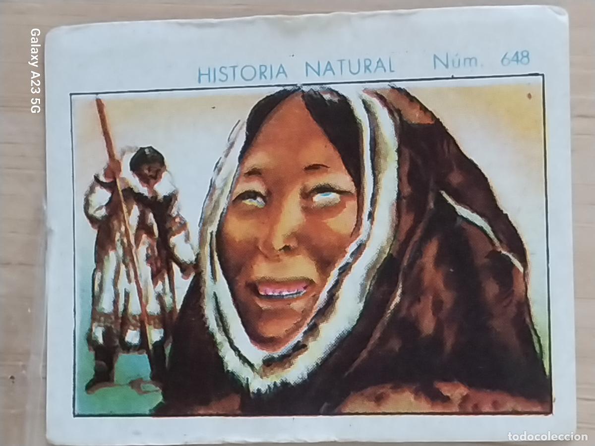 Collectable Antique Stickers: ESQUIMAL MUJER CHOCOLATES JUNCOSA CROMO 648 SIN PEGAR -*.....*- HISTORIA NATURAL A&Ntilde;O 1935 5X3.5CMS