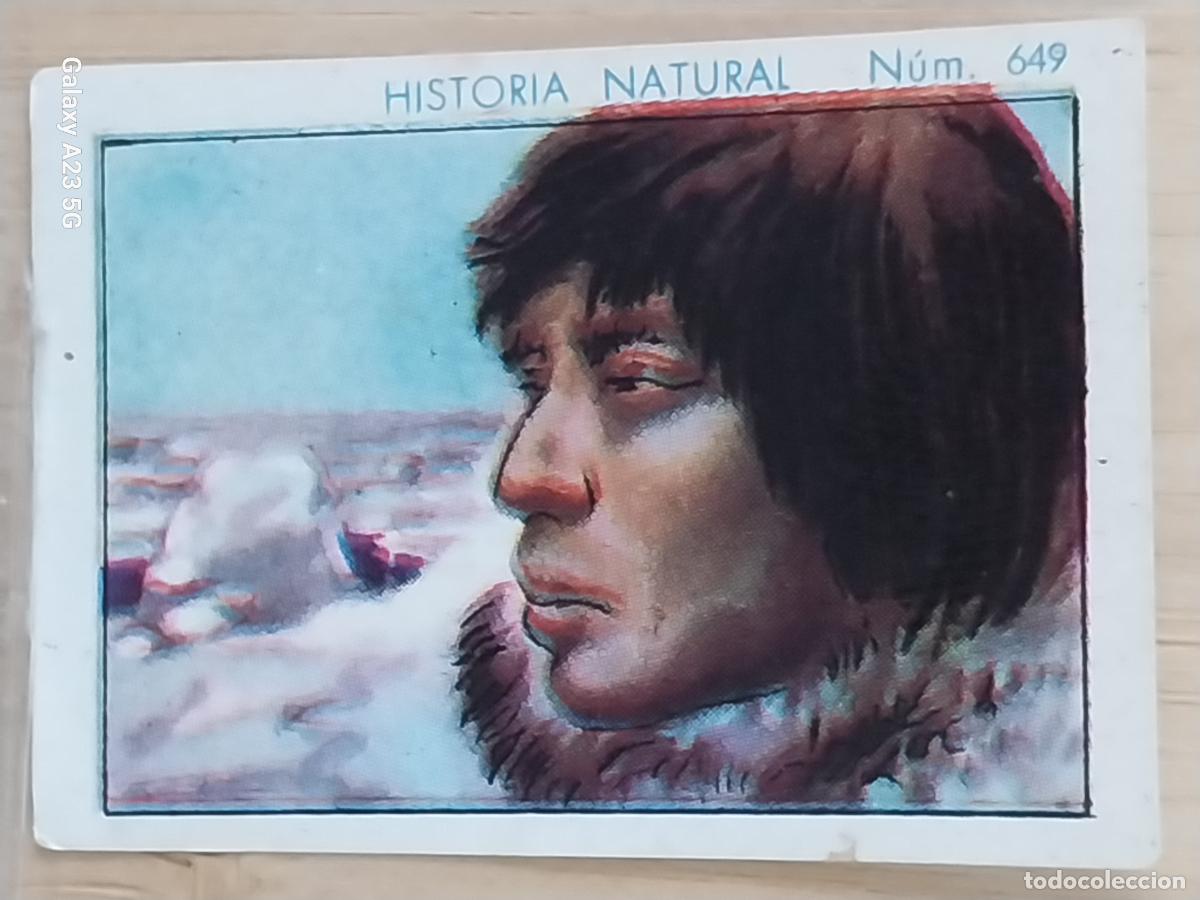 Collectable Antique Stickers: ESQUIMAL CHOCOLATES JUNCOSA CROMO 649 SIN PEGAR -*...*- HISTORIA NATURAL A&Ntilde;O 1935 5X3.5CMS