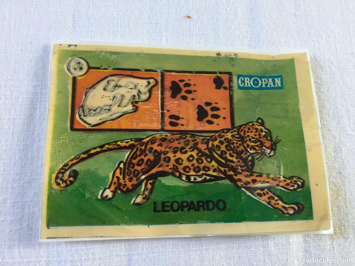 Coleccionismo cromos antiguos: CROMO CROPAN SANDOKAN TE ENSE&Ntilde;A A RECONOCER LAS HUELLAS DE LOS ANIMALES N&ordm; 3 LEOPARDO