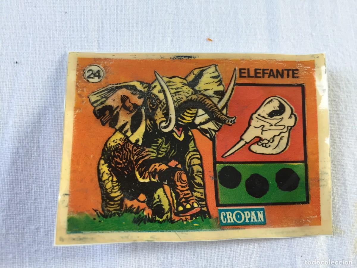 Coleccionismo cromos antiguos: CROMO CROPAN N&ordm; 24 ELEFANTE SANDOKAN Y LAS HUELLAS DE LOS ANIMALES