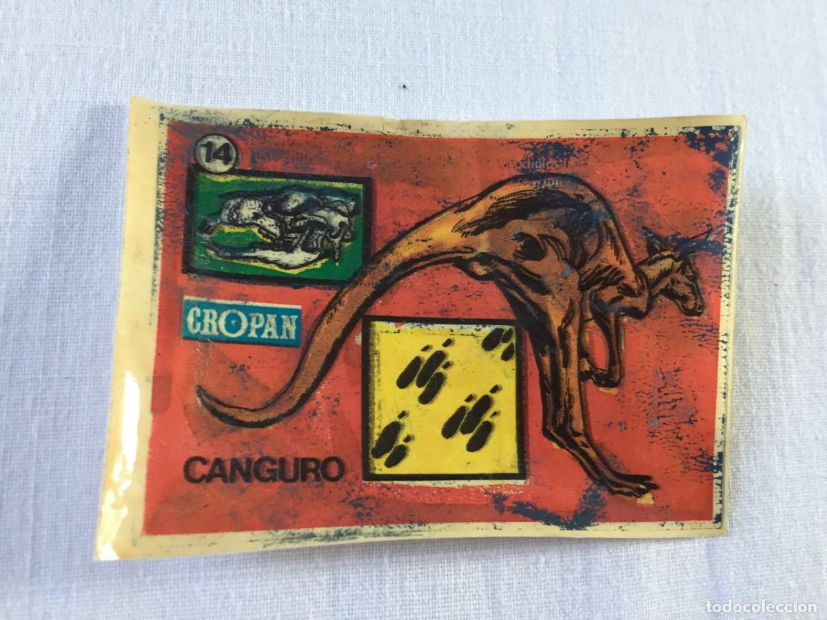Coleccionismo cromos antiguos: CROMO CROPAN SANDOKAN Y LAS HUELLAS DE LOS ANIMALES N&ordm; 14 CANGURO