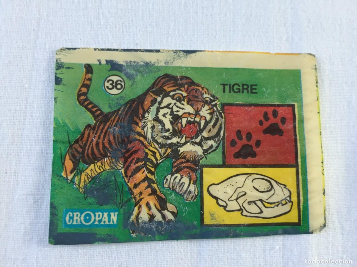 Coleccionismo cromos antiguos: CROMO CROPAN SANDOKAN TE ENSE&Ntilde;A A RECONOCER LAS HUELLAS DE LOS ANIMALES N&ordm; 36 TIGRE
