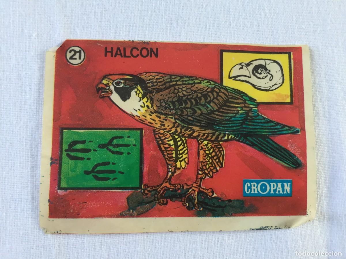 Coleccionismo cromos antiguos: CROMO CROPAN SANDOKAN TE ENSE&Ntilde;A A RECONOCER LAS HUELLAS DE LOS ANIMALES N&ordm; 21 HALCON