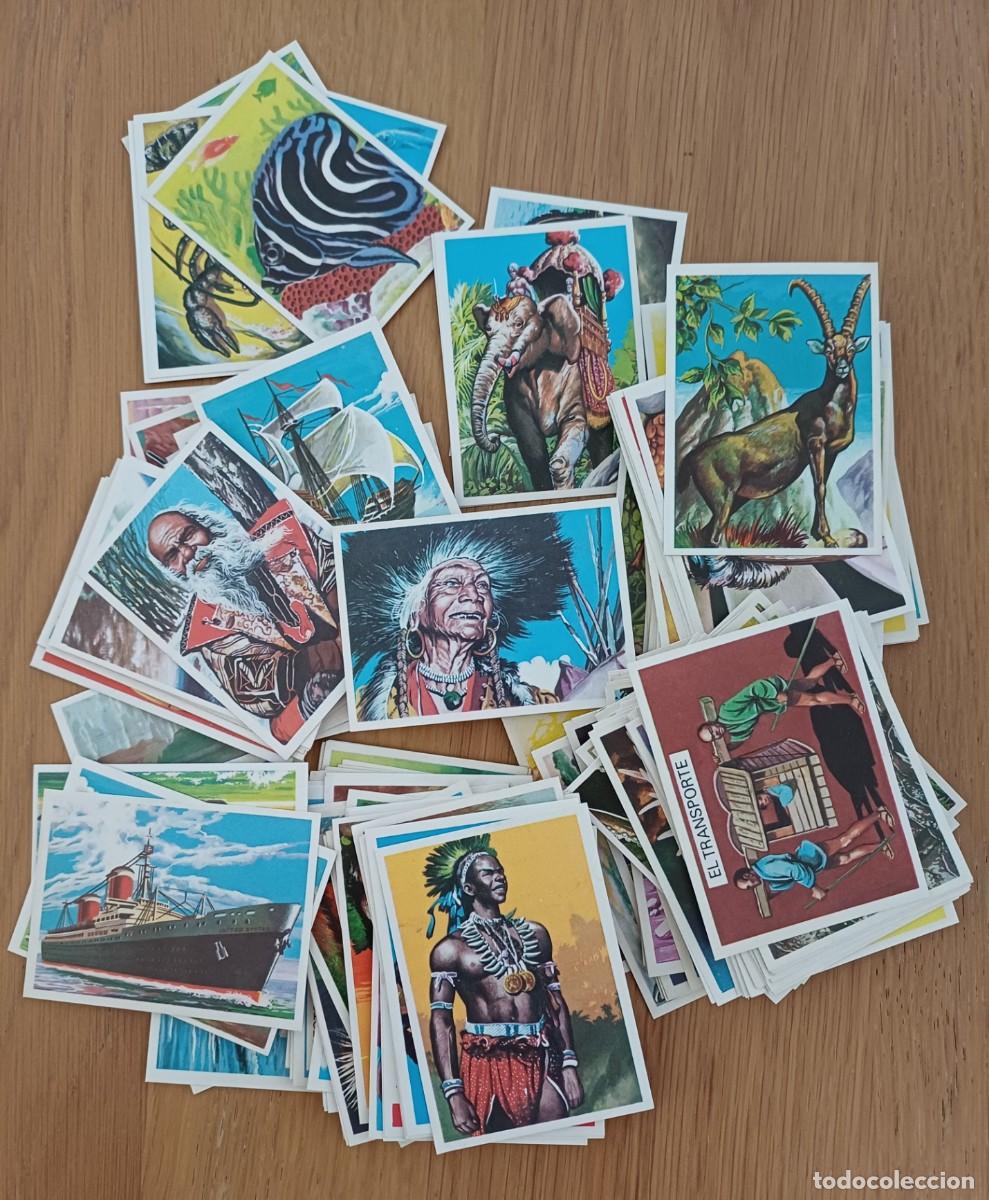 Coleccionismo cromos antiguos: Lote con m&aacute;s de 210 cromos , Visi&oacute;n de la naturaleza , Editorial Maga 1978, perfecto estado