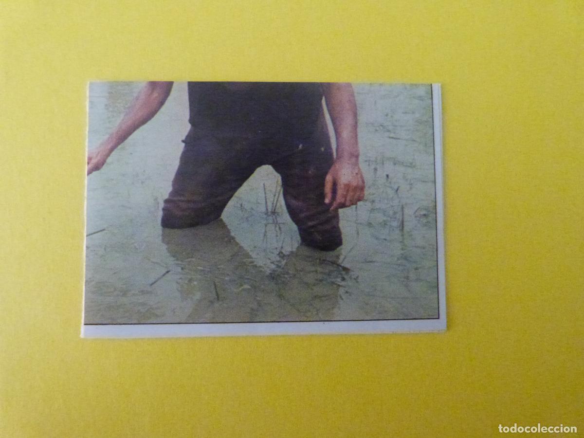 Collectable Antique Stickers: CROMO SANDOKAN RECORTADO N&ordm; 169 A&Ntilde;O 1976 ALBUM SANDOKAN FIGURINE PANINI