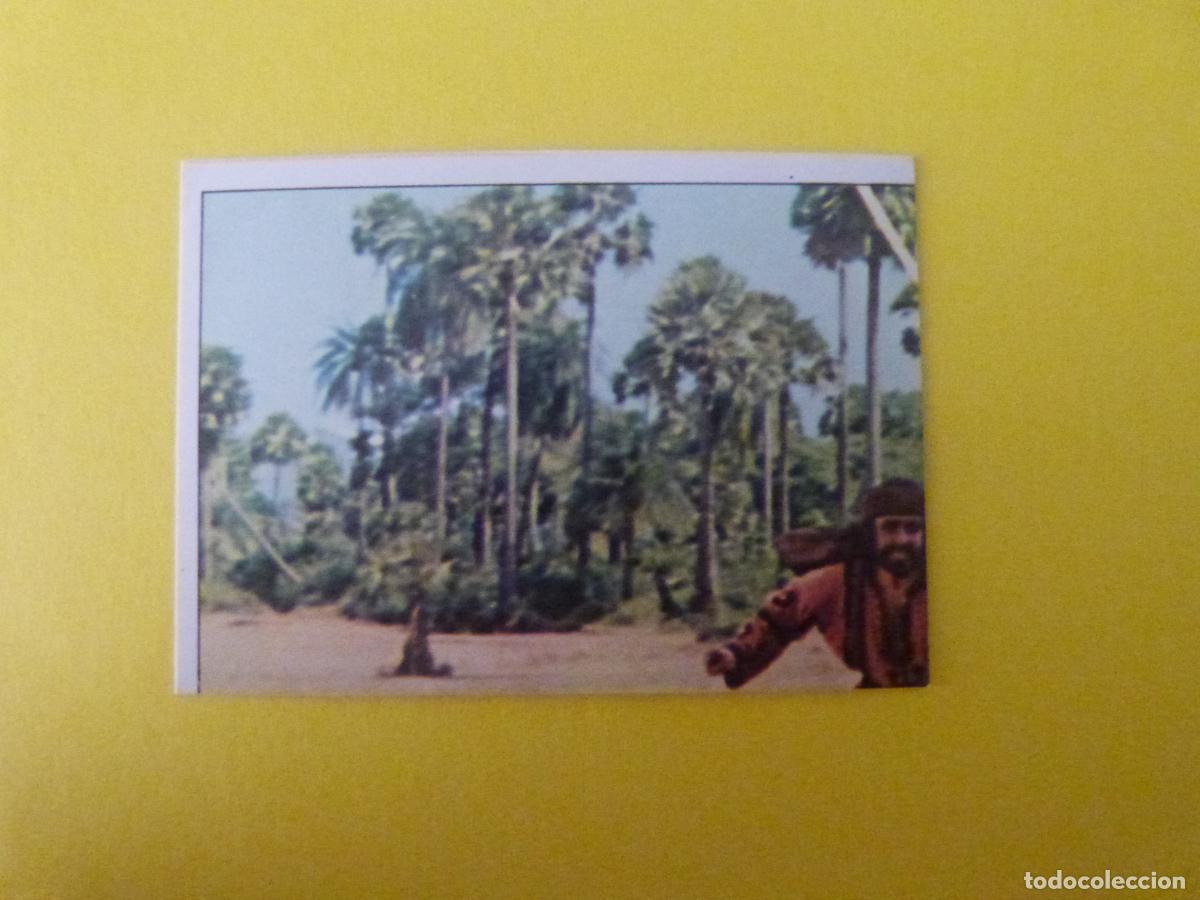 Collectable Antique Stickers: CROMO SANDOKAN RECORTADO N&ordm; 197 A&Ntilde;O 1976 ALBUM SANDOKAN FIGURINE PANINI