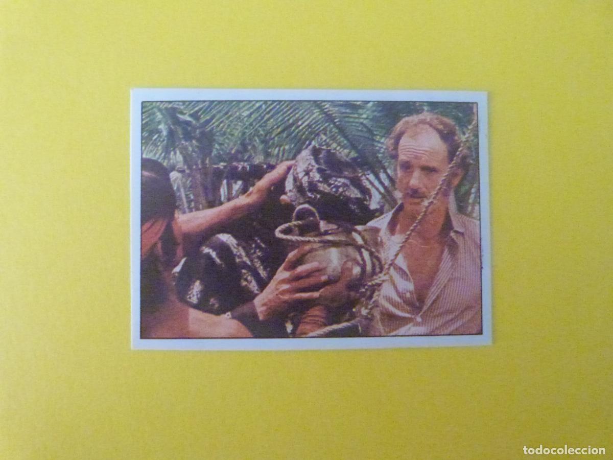 Coleccionismo cromos antiguos: CROMO SANDOKAN RECORTADO N&ordm; 307 A&Ntilde;O 1976 ALBUM SANDOKAN FIGURINE PANINI