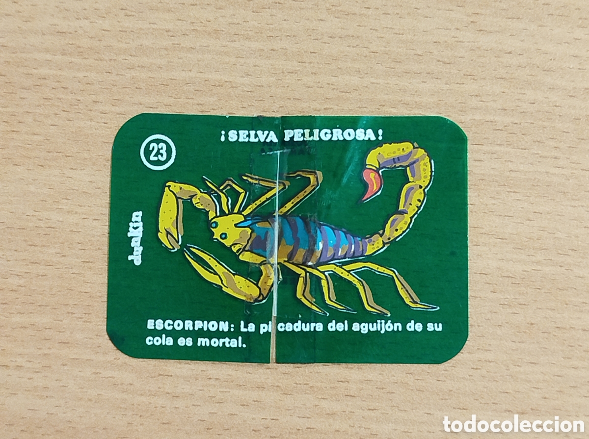 Coleccionismo cromos antiguos: DUNKIN &iexcl; SELVA PELIGROSA ! ESCORPI&Oacute;N N&deg; 23 CROMO