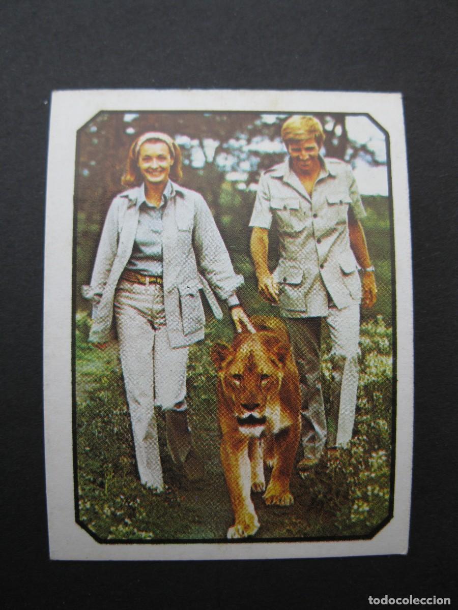 Coleccionismo cromos antiguos: FANS - CROMO N&ordm; 4 - GARY COLLINS Y DIANA MULDAUR - EDICIONES ESTE - NUNCA PEGADO.