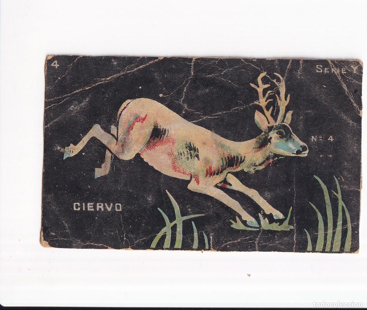 Coleccionismo cromos antiguos: HISTORIA NATURAL : NUMERO 4 , SERIE Y : CHOCOLATES GUILLEM