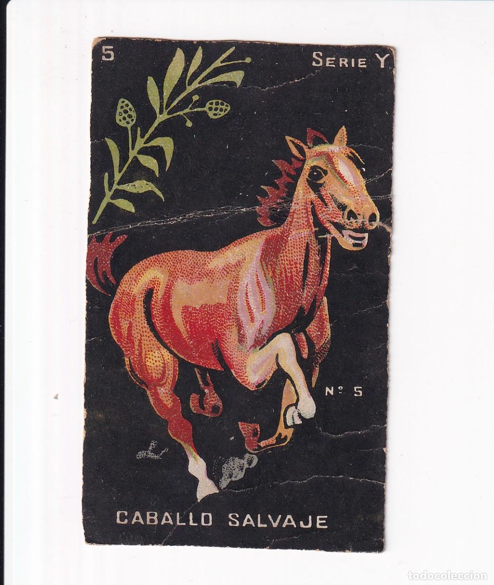 Coleccionismo cromos antiguos: HISTORIA NATURAL : NUMERO 5 , SERIE Y : CHOCOLATES GUILLEM