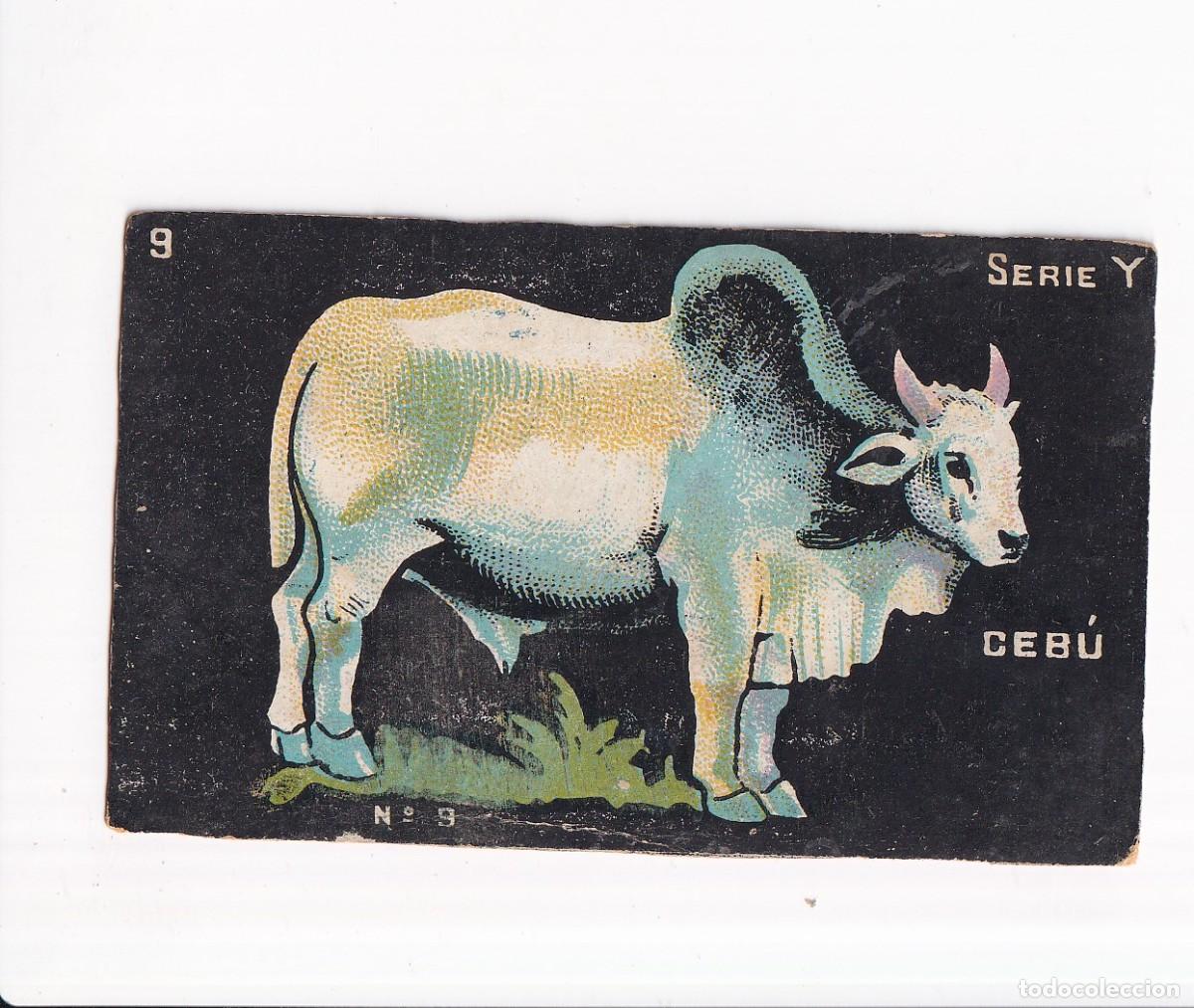 Coleccionismo cromos antiguos: HISTORIA NATURAL : NUMERO 9 , SERIE Y : CHOCOLATES GUILLEM