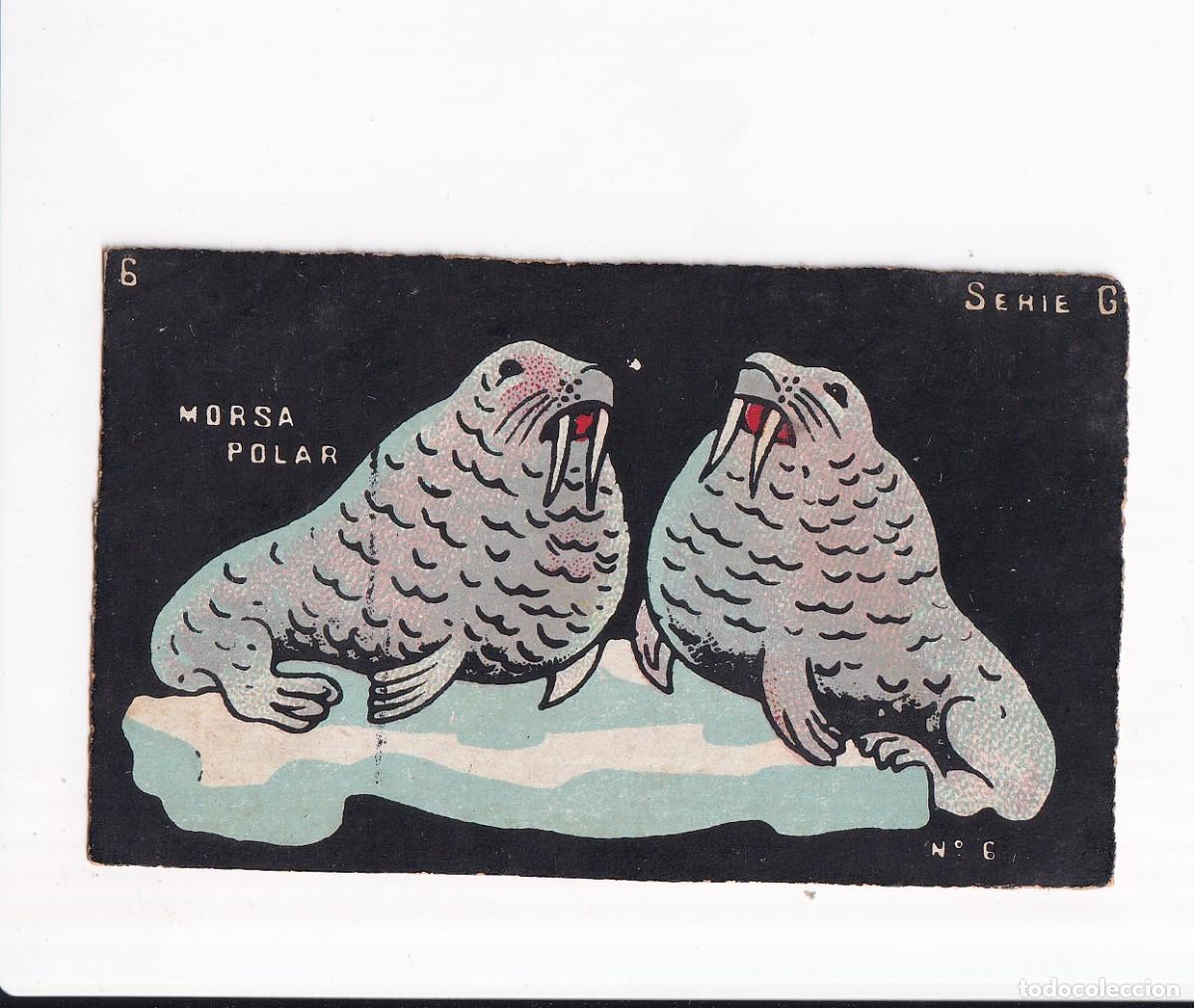 Coleccionismo cromos antiguos: HISTORIA NATURAL : NUMERO 6 , SERIE G : CHOCOLATES GUILLEM