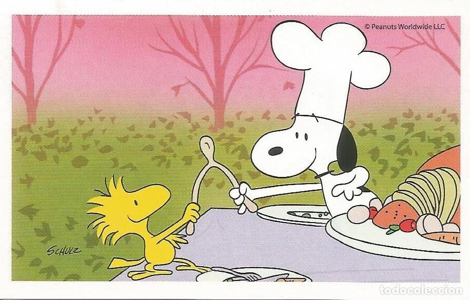 Coleccionismo cromos antiguos: Cromo n.&ordm; 24 de la colecci&oacute;n 'Peanuts. Snoopy e i Suoi Amici' - COOP Unicoop Tirreno (Italia, 2016)