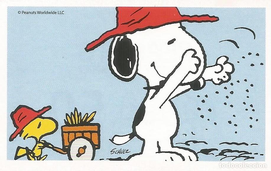 Coleccionismo cromos antiguos: Cromo n.&ordm; 50 de la colecci&oacute;n 'Peanuts. Snoopy e i Suoi Amici' - COOP Unicoop Tirreno (Italia, 2016)