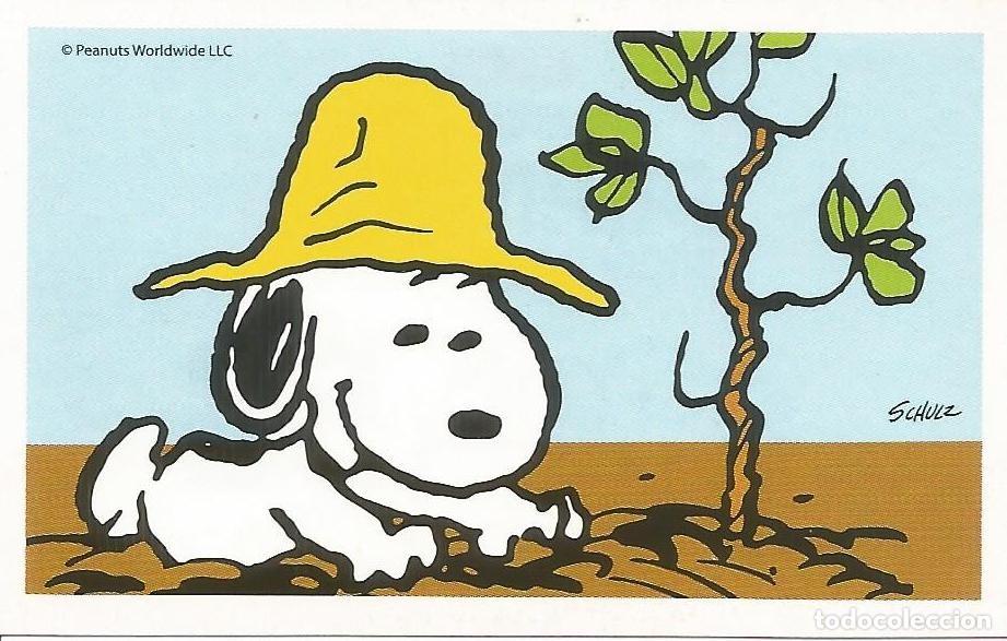 Coleccionismo cromos antiguos: Cromo n.&ordm; 58 de la colecci&oacute;n 'Peanuts. Snoopy e i Suoi Amici' - COOP Unicoop Tirreno (Italia, 2016)