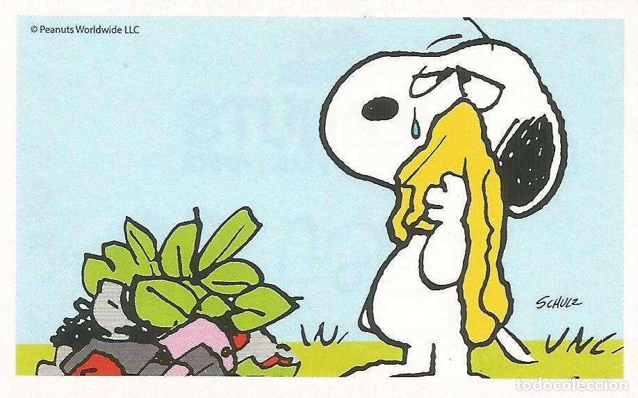 Coleccionismo cromos antiguos: Cromo n.&ordm; 60 de la colecci&oacute;n 'Peanuts. Snoopy e i Suoi Amici' - COOP Unicoop Tirreno (Italia, 2016)