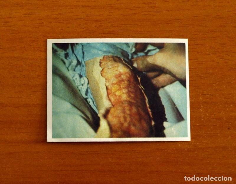 Coleccionismo cromos antiguos: Cromo n&ordm; 238 - De la serie de Televisi&oacute;n V Los Visitantes - Editorial Maga A&ntilde;o 1984 - Nunca pegado