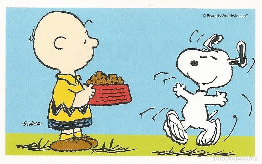 Coleccionismo cromos antiguos: Cromo n.&ordm; 98 de la colecci&oacute;n 'Peanuts. Snoopy e i Suoi Amici' - COOP Unicoop Tirreno (Italia, 2016)