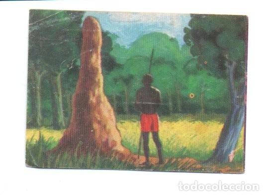 Coleccionismo cromos antiguos: CROMO N&ordm; 47 - EL LIBRO DE LAS ADIVINANZAS, BIMBO. LAS TERMITAS.